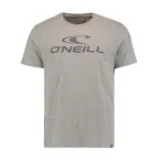 Tricou O'Neill Logo T-Shirt Gri | winteroutlet.ro