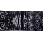 Placa Snowboard Raven Mystic | winteroutlet.ro