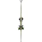 Elan Race GSX schiuri second hand | winteroutlet.ro