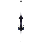Dynastar Speed 263 schiuri second hand | winteroutlet.ro