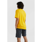 Tricou O'Neill Surf T-Shirt Galben | winteroutlet.ro