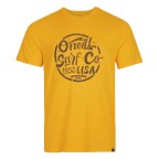 Tricou O'Neill Surf T-Shirt Galben | winteroutlet.ro
